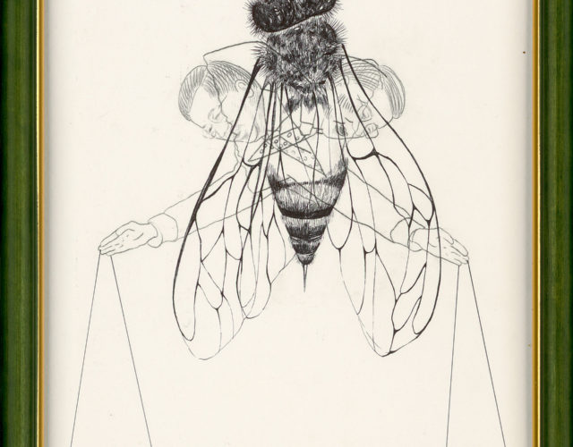 高雅婷，標本B3，2014，原子筆、複寫墨水、紙 、框，30.5x 23 cm