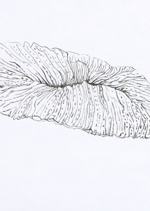 Kao Ya-Ting, Untitled_ 1025 2022, Ink on paper, 21 x 14.8 cm